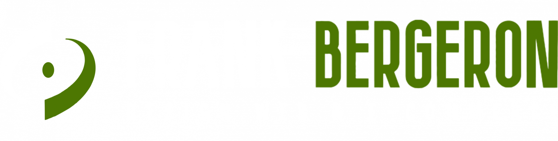 LOGO Frank Bergeron